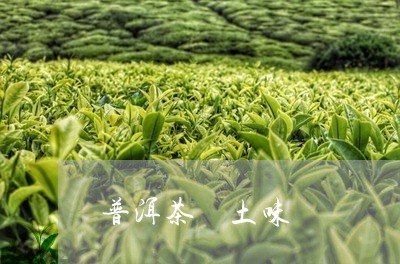 普洱茶 土味/2023042989614